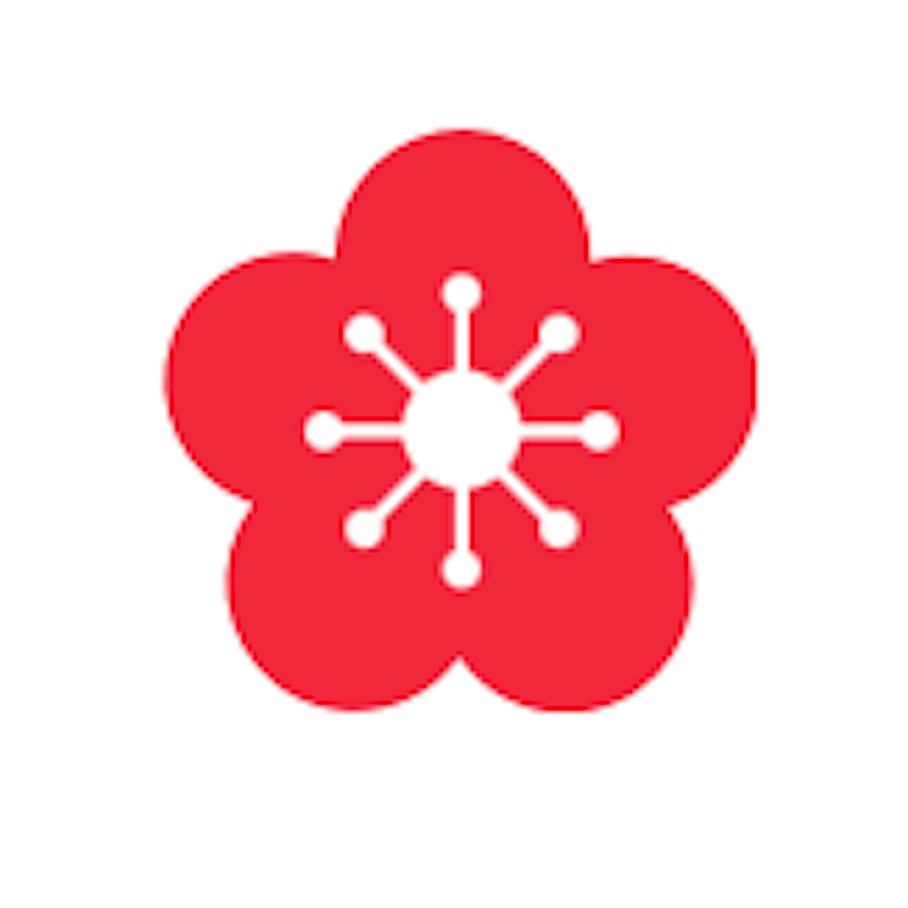 WSJJ+ app icon